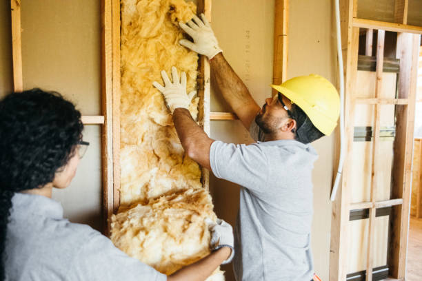 Best Insulation Installation Cost  in Laughlin, NV