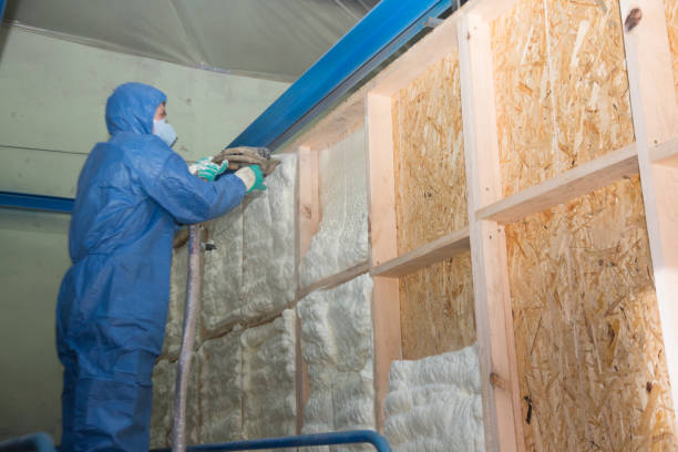 Insulation for Commercial Buildings in Laughlin, NV